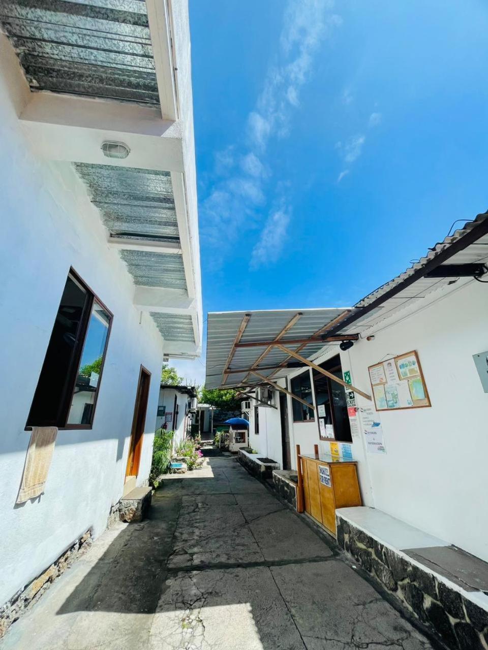达尔文住宿加早餐旅馆 阿约拉港 外观 照片